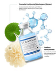 Key_ingredients_of_Veranum_Cicaultra_Moisture_Ampoule_multi-weight_hyaluronic_acid_Centella_EVs_peptides