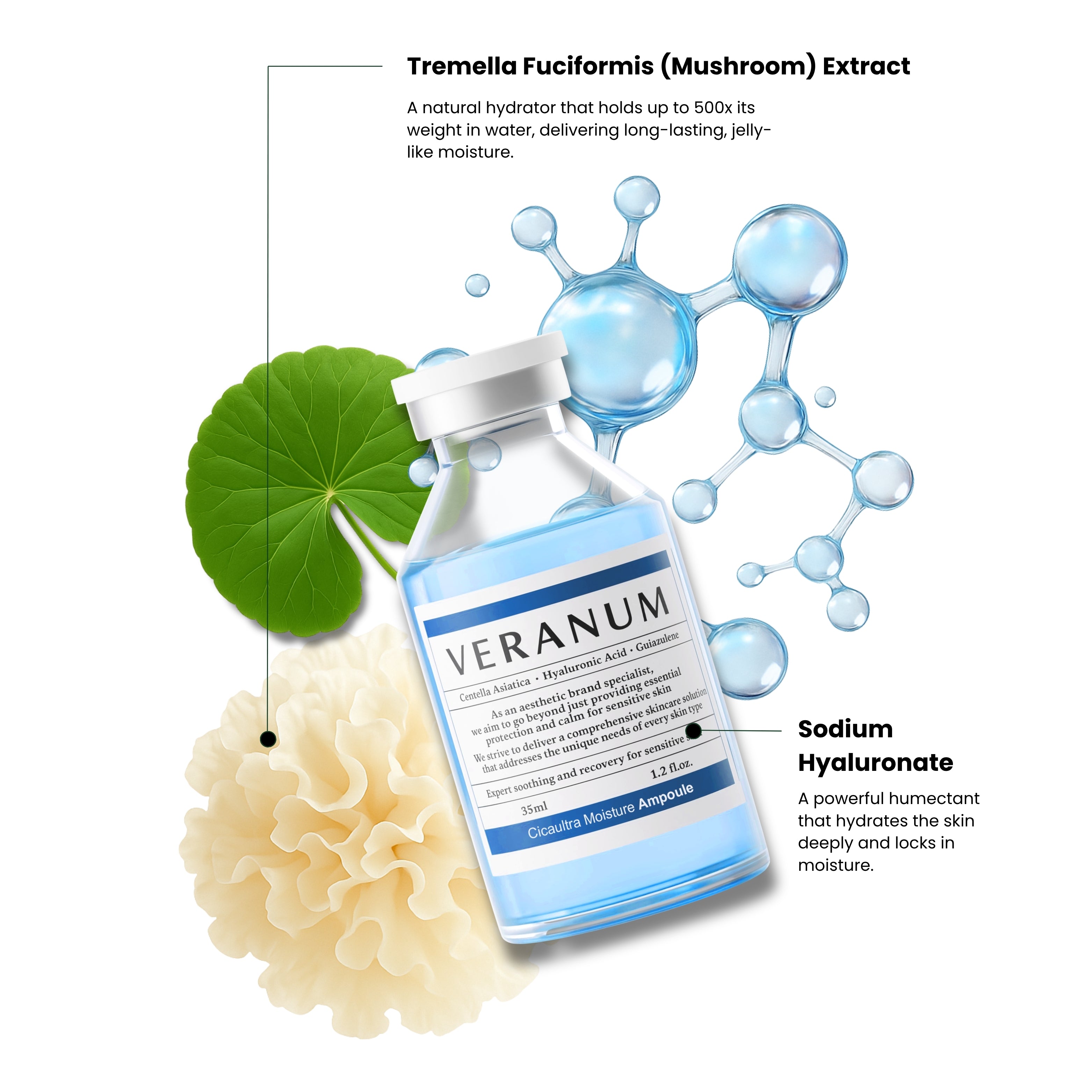 Veranum Cicaultra Moisture Ampoule – Hyaluronic Acid Hydration